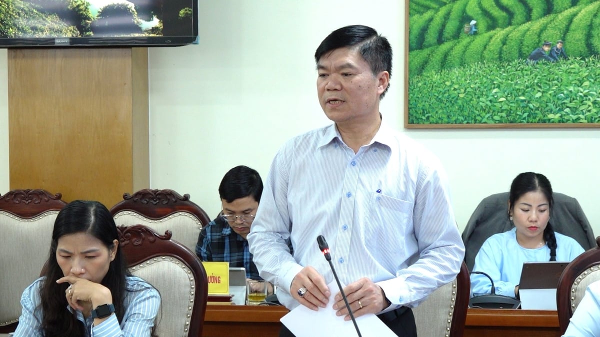 Ông Nguyễn Đắc Nhẫn - Phó Cục trưởng Cục Quản lý đất đai phát biểu tại buổi làm việc. Ảnh: Quang Linh.
