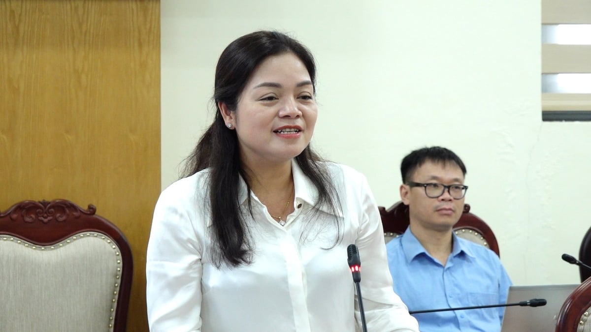 Bà Nguyễn Thị Loan - Phó Chủ tịch UBND tỉnh Thái Nguyên phát biểu tại buổi làm việc. Ảnh: Quang Linh.