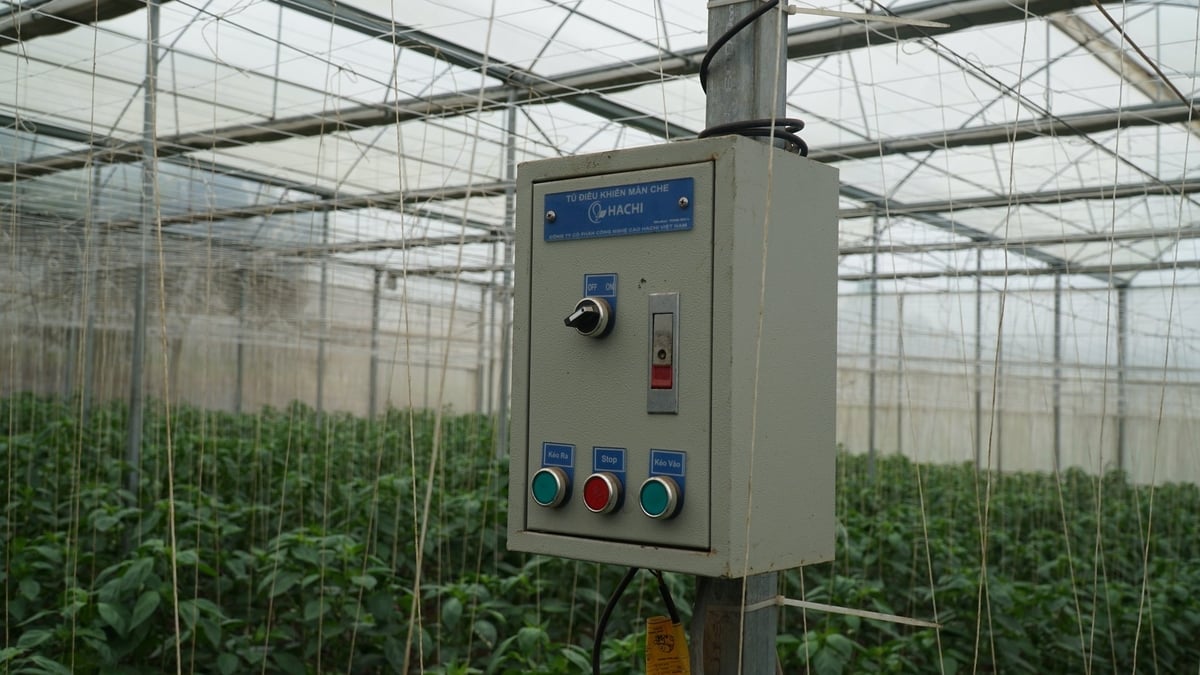 Hệ thống cắt nắng được tổ chức FAO giới thiệu và hỗ trợ nay đã trở thành một phần không thể thiếu trong sản xuất rau tại HTX Mộc Vân Trang. Ảnh: Đức Bình. Hệ thống cắt nắng được tổ chức FAO giới thiệu và hỗ trợ nay đã trở thành một phần không thể thiếu trong sản xuất rau tại HTX Mộc Vân Trang. Ảnh: Đức Bình.