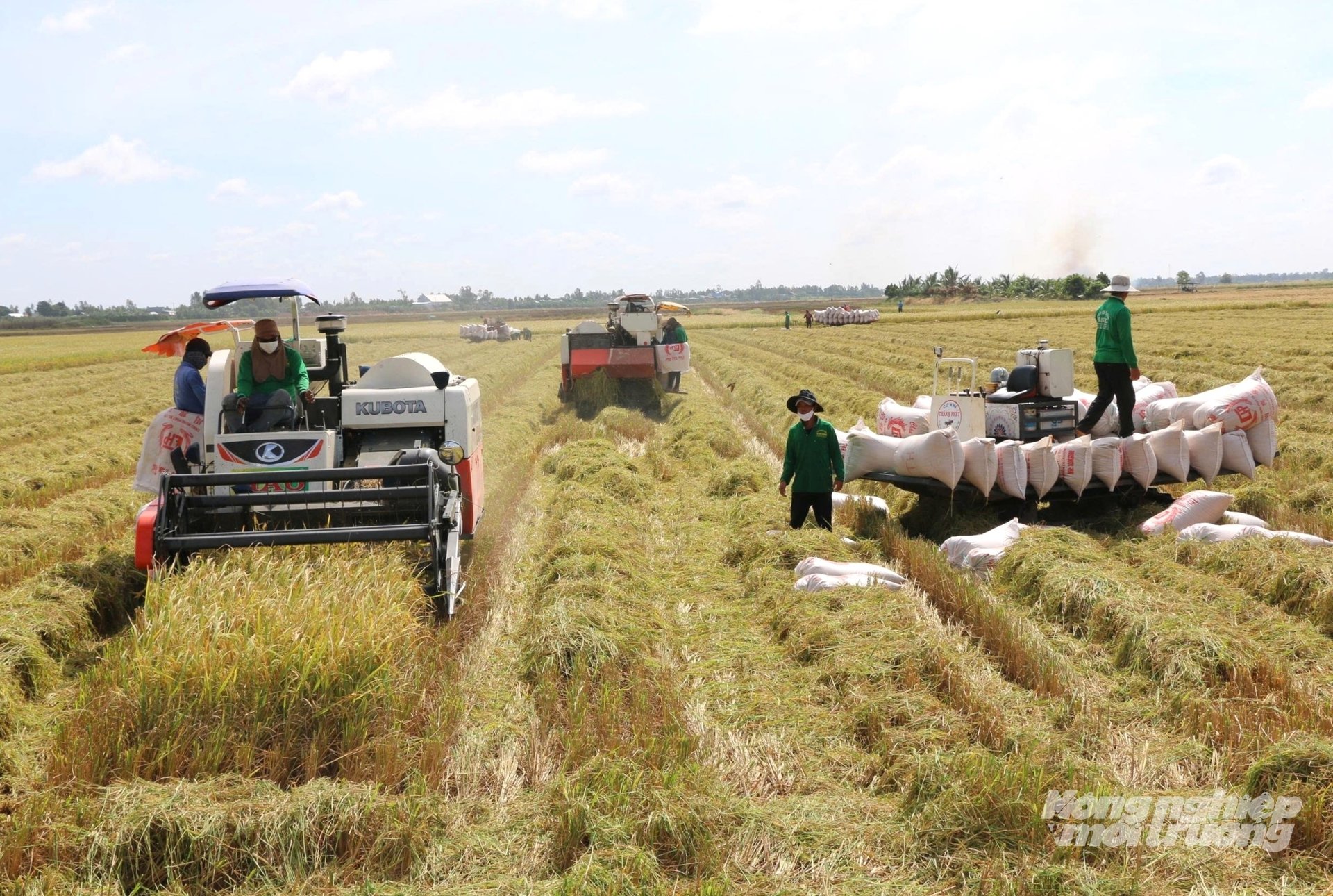 Ứng dụng cơ giới hóa trong sản xuất nông nghiệp ở xã Châu Phong, giúp nông dân giảm công lao động, giảm chi phí, tăng hiệu quả kinh tế. Ảnh: Trung Chánh.