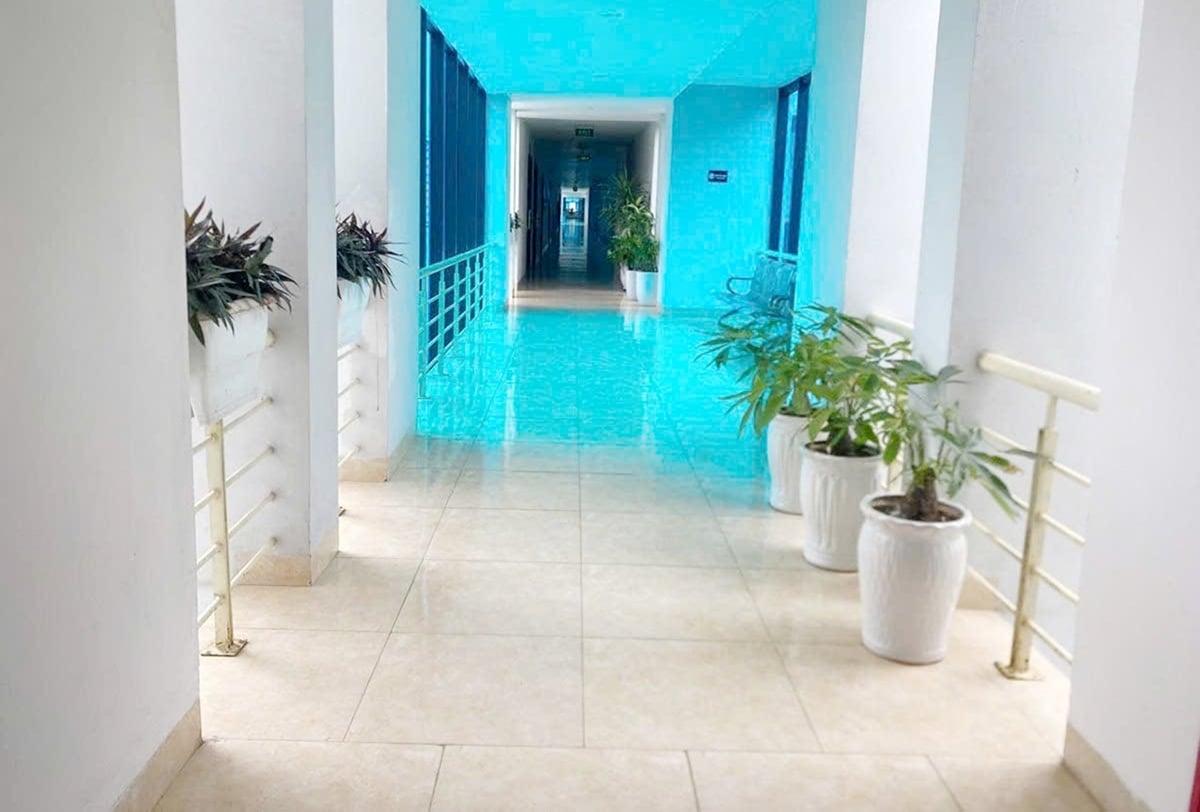 Khuôn viên trụ sở làm việc các văn phòng tại phường Cam Đường được trồng nhiều cây xanh tạo không gian xanh - sạch - thoáng mát. Ảnh: Bích Hợp. 