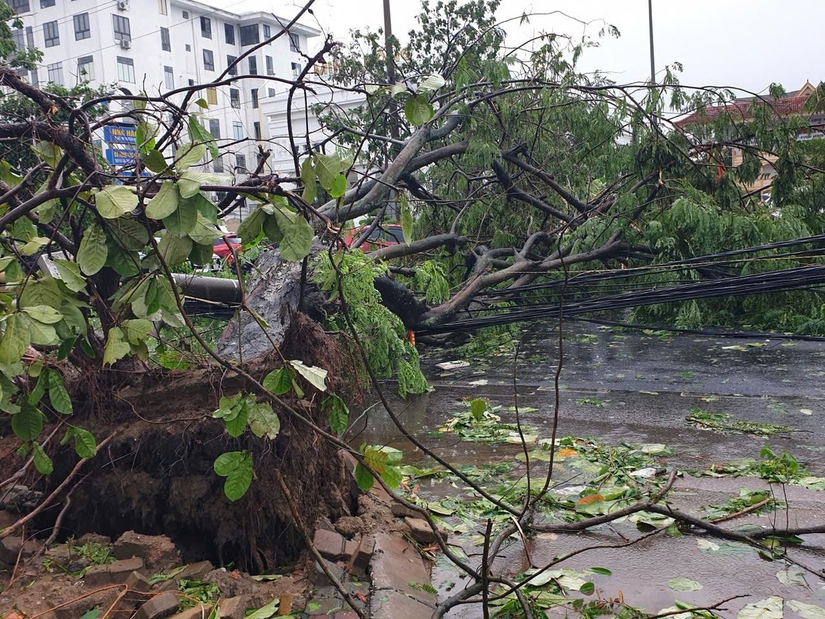 Cây xanh, cột điện gãy đổ ngổn ngang trên đường phố Nghệ An sau khi bão số 5 quần thảo.