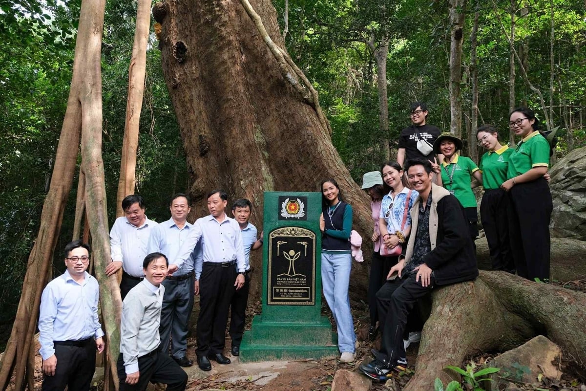 Côn Đảo níu giữ bước chân du khách bởi sự kết hợp kỳ lạ giữa quá khứ đau thương, thiên nhiên kỳ vĩ.