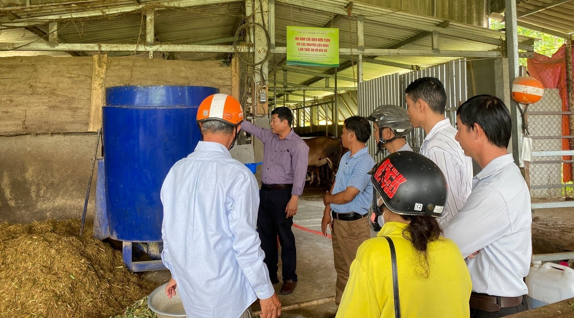 Chế biến rơm tại trại bò của anh Nguyễn Văn Trường (xã A Lưới 2, TP Huế). Ảnh: Phạm Tài. Chế biến rơm tại trại bò của anh Nguyễn Văn Trường (xã A Lưới 2, TP Huế). Ảnh: Phạm Tài.