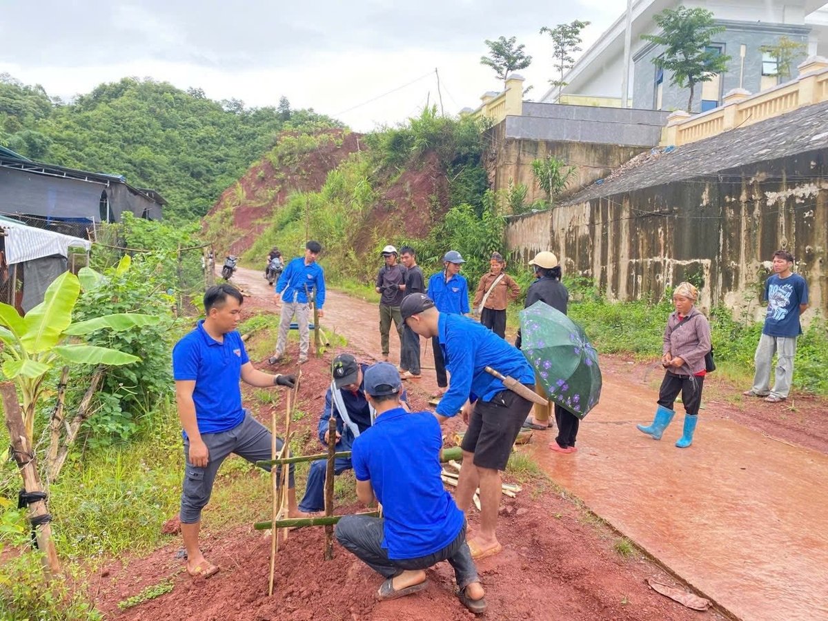 Đoàn viên thanh niên tham gia trồng cây xanh. Ảnh: Hoàng Châu. Đoàn viên thanh niên tham gia trồng cây xanh. Ảnh: Hoàng Châu.