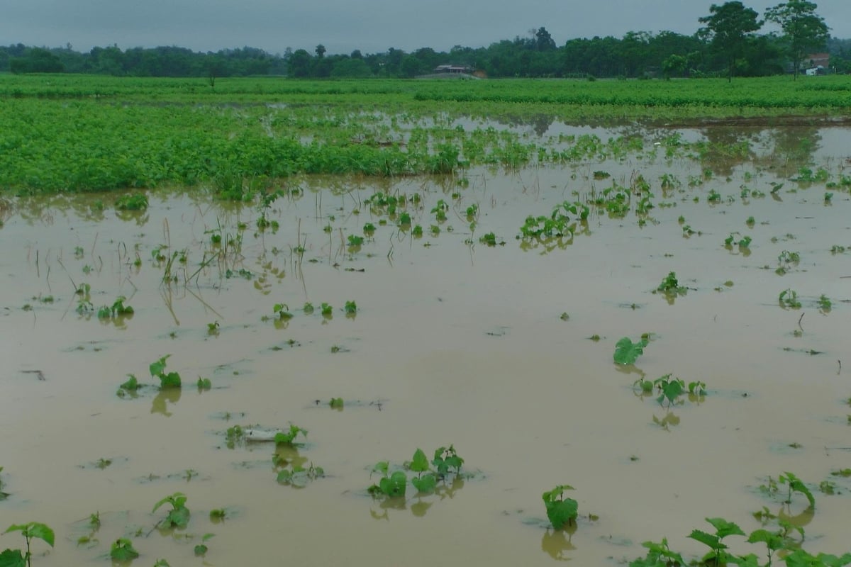 Hiện nay, tại nhiều khu vực trong tỉnh Lào Cai vẫn đang có mưa lớn, các địa phương và người dân cần hết sức cảnh giác. Ảnh: Thanh Tiến. Hiện nay, tại nhiều khu vực trong tỉnh Lào Cai vẫn đang có mưa lớn, các địa phương và người dân cần hết sức cảnh giác. Ảnh: Thanh Tiến.