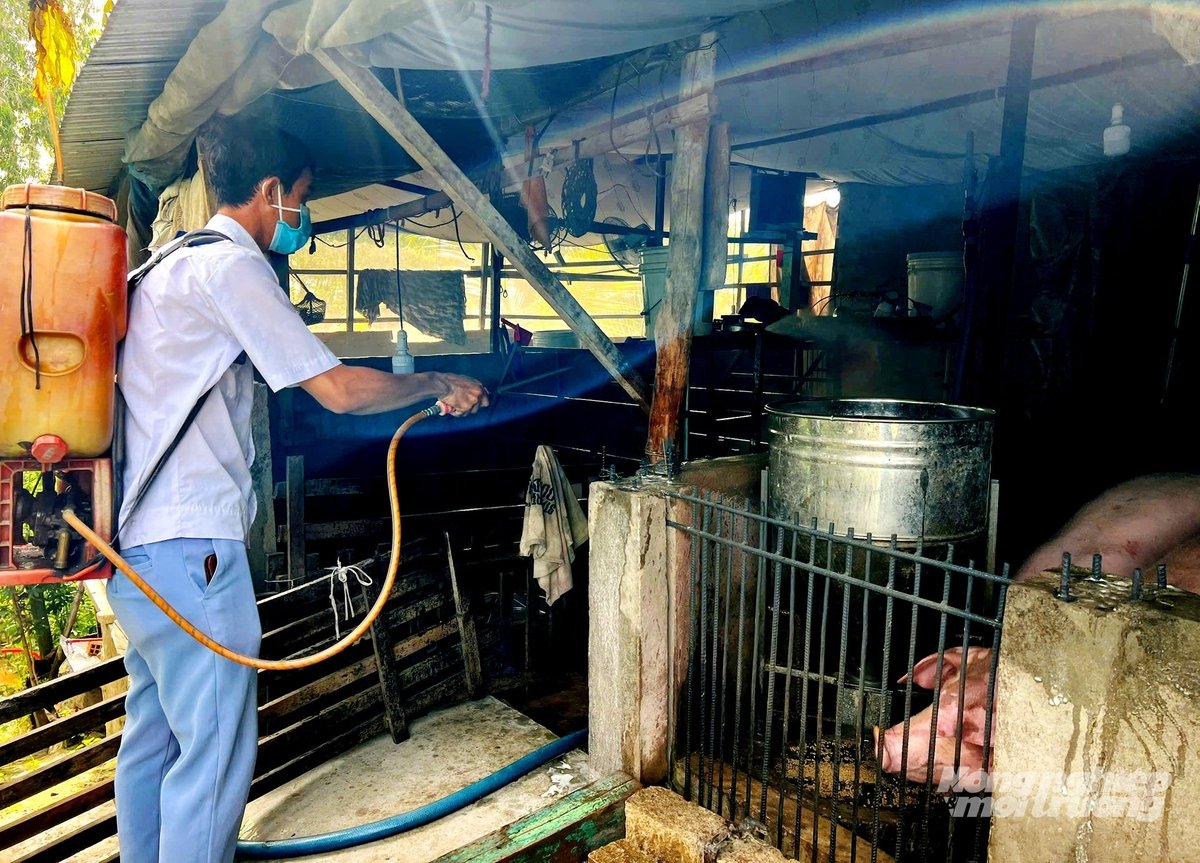 Lực lượng thú y phun thuốc khử trùng chuồng trại chăn nuôi, đảm bảo vệ sinh môi trường, hạn chế mầm bệnh lây lan. Ảnh: Lê Hoàng Vũ. Lực lượng thú y phun thuốc khử trùng chuồng trại chăn nuôi, đảm bảo vệ sinh môi trường, hạn chế mầm bệnh lây lan. Ảnh: Lê Hoàng Vũ.