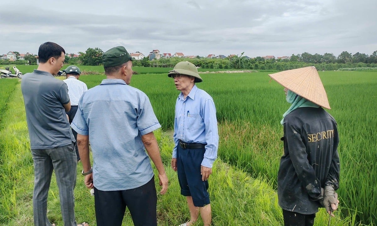 Ông Nguyễn Hữu Vân hướng dẫn nông dân về biện pháp khắc phục.