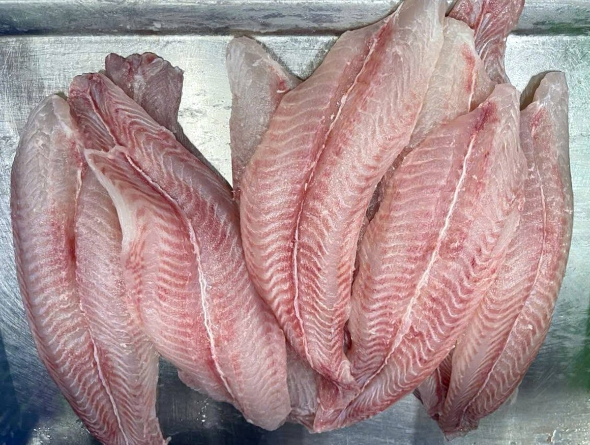 Phi lê cá tra - sản phẩm xuất khẩu chủ lực của ngành cá tra Việt Nam. Ảnh: Thanh Sơn. Phi lê cá tra - sản phẩm xuất khẩu chủ lực của ngành cá tra Việt Nam. Ảnh: Thanh Sơn.