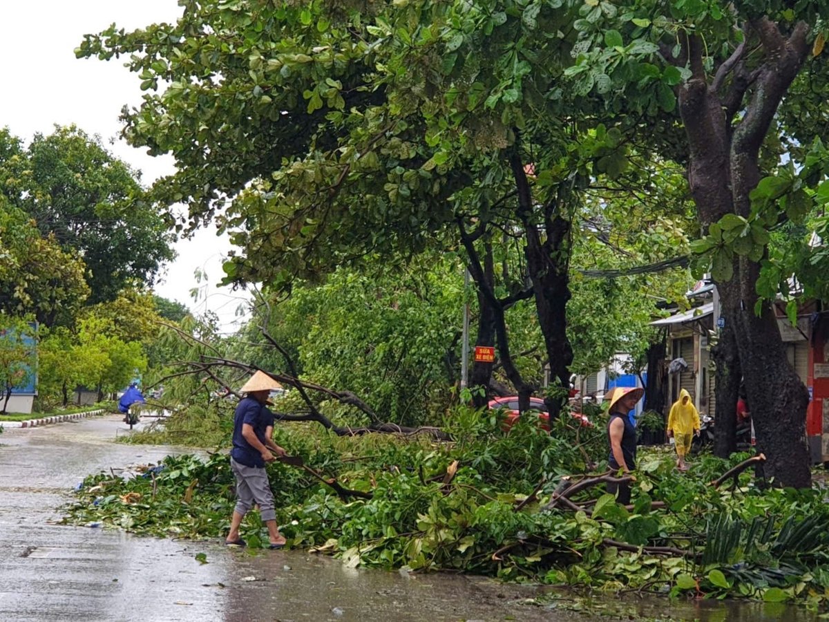 Tỉnh Nghệ An vừa phải hứng chịu tổn thất lớn do cơn bão số 5 gây ra. Ảnh: Đình Tiệp. Tỉnh Nghệ An vừa phải hứng chịu tổn thất lớn do cơn bão số 5 gây ra. Ảnh: Đình Tiệp.