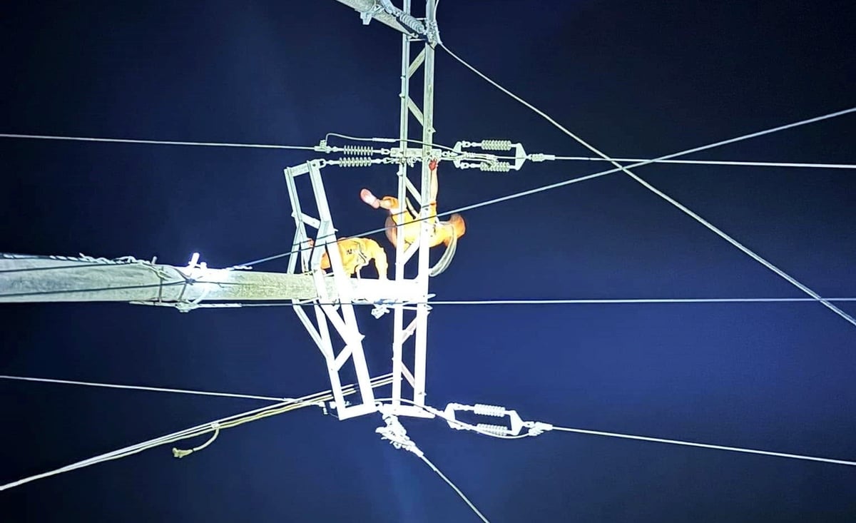 Tập đoàn Điện lực Việt Nam (EVN) đã điều động Tổng Công ty Điện lực miền Bắc, miền Trung cùng 8 công ty điện lực từ Quảng Ninh, Bắc Ninh, Thái Nguyên, Quảng Ngãi, Quảng Trị, Gia Lai, Đà Nẵng, Huế thành lập đội xung kích hỗ trợ Nghệ An, Hà Tĩnh. 316 cán bộ, công nhân mang theo máy móc, thiết bị chuyên dụng lên đường với quyết tâm 'không để người dân vùng bão lũ thiếu ánh sáng điện quá lâu'. Tập đoàn Điện lực Việt Nam (EVN) đã điều động Tổng Công ty Điện lực miền Bắc, miền Trung cùng 8 công ty điện lực từ Quảng Ninh, Bắc Ninh, Thái Nguyên, Quảng Ngãi, Quảng Trị, Gia Lai, Đà Nẵng, Huế thành lập đội xung kích hỗ trợ Nghệ An, Hà Tĩnh. 316 cán bộ, công nhân mang theo máy móc, thiết bị chuyên dụng lên đường với quyết tâm 'không để người dân vùng bão lũ thiếu ánh sáng điện quá lâu'.
