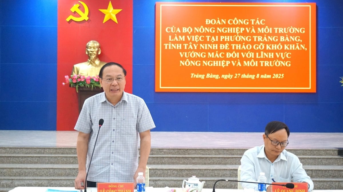 Thứ trưởng Lê Công Thành chia sẻ với những khó khăn, vướng mắc khi thực hiện chính quyền 2 cấp của địa phương. Ảnh: Trần Trung. Thứ trưởng Lê Công Thành chia sẻ với những khó khăn, vướng mắc khi thực hiện chính quyền 2 cấp của địa phương. Ảnh: Trần Trung.