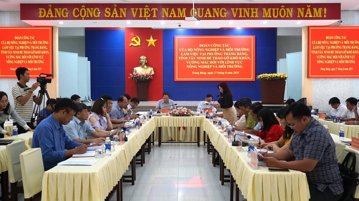 Đoàn công tác Bộ Nông nghiệp và Môi trường do Thứ trưởng Lê Công Thành làm trưởng đoàn làm việc tại Tây Ninh. Ảnh: Trần Trung. Đoàn công tác Bộ Nông nghiệp và Môi trường do Thứ trưởng Lê Công Thành làm trưởng đoàn làm việc tại Tây Ninh. Ảnh: Trần Trung.