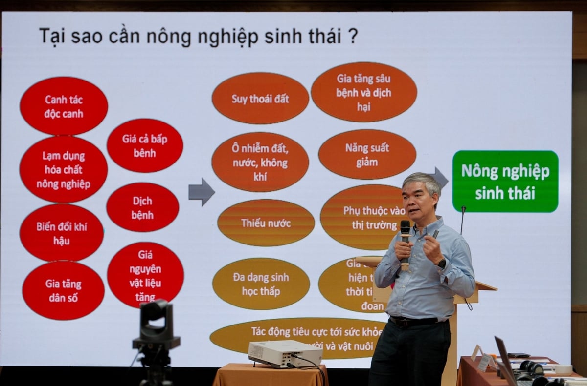 Điều phối viên quốc gia của ICRAF tại Việt Nam Nguyễn Quang Tân chia sẻ kinh nghiệm thực hiện các dự án kỹ thuật ở châu Á. Ảnh: Quỳnh Chi. Điều phối viên quốc gia của ICRAF tại Việt Nam Nguyễn Quang Tân chia sẻ kinh nghiệm thực hiện các dự án kỹ thuật ở châu Á. Ảnh: Quỳnh Chi.