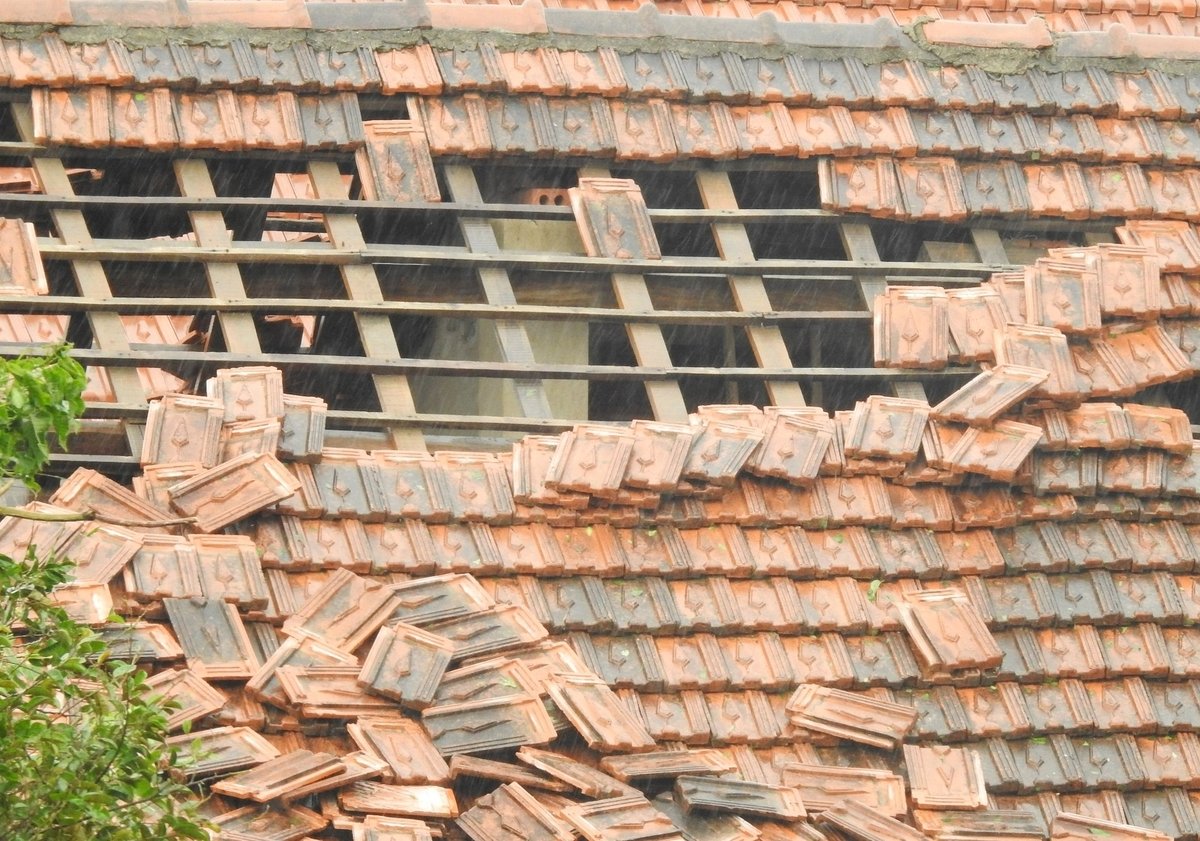 Bão Kajiki đổ bộ vào đất liền với sức gió khủng khiếp đã gây nhiều tổn thất cho Hà Tĩnh, với 1 người chết, 9 người bị thương; 7 ngôi nhà đổ sập, khoảng 1.200 nhà ngập sâu và 6.300 nhà tốc mái. Ngoài ra, 47 trường học, 5 cơ sở y tế, 7 công trình văn hóa bị hư hỏng; khoảng 21.000ha lúa hè thu, 1.600ha hoa màu bị ngập úng, ngã đổ; 4.000 tấn thủy sản thiệt hại. Hàng chục nghìn cây xanh gãy đổ, nhiều tuyến giao thông, công trình thủy lợi, lưới điện và thông tin liên lạc bị ảnh hưởng nặng. Bão Kajiki đổ bộ vào đất liền với sức gió khủng khiếp đã gây nhiều tổn thất cho Hà Tĩnh, với 1 người chết, 9 người bị thương; 7 ngôi nhà đổ sập, khoảng 1.200 nhà ngập sâu và 6.300 nhà tốc mái. Ngoài ra, 47 trường học, 5 cơ sở y tế, 7 công trình văn hóa bị hư hỏng; khoảng 21.000ha lúa hè thu, 1.600ha hoa màu bị ngập úng, ngã đổ; 4.000 tấn thủy sản thiệt hại. Hàng chục nghìn cây xanh gãy đổ, nhiều tuyến giao thông, công trình thủy lợi, lưới điện và thông tin liên lạc bị ảnh hưởng nặng.