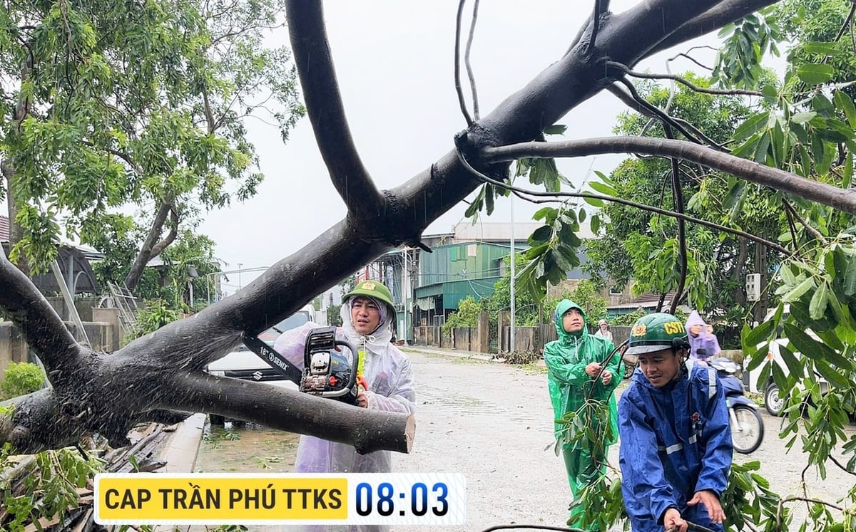 Tại phường Trần Phú, hậu bão, cây cối đổ la liệt dọc đường, chắn cổng nhà dân, lực lượng Công an phường tập trung 100% quân số bất chấp mưa gió phát dọn, giải phóng lòng đường, phục vụ việc đi lại của người dân. Tại phường Trần Phú, hậu bão, cây cối đổ la liệt dọc đường, chắn cổng nhà dân, lực lượng Công an phường tập trung 100% quân số bất chấp mưa gió phát dọn, giải phóng lòng đường, phục vụ việc đi lại của người dân.