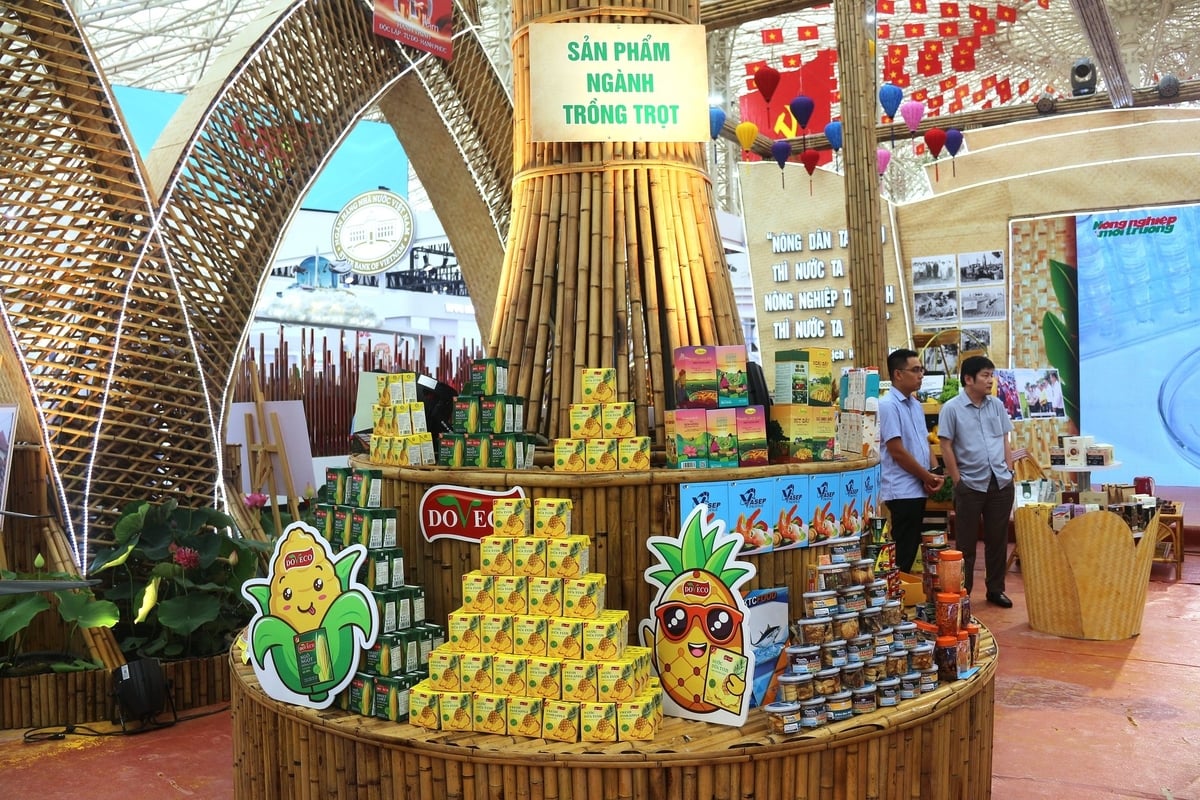 Khu trưng bày sản phẩm ngành trồng trọt. Ảnh: Phạm Hiếu.