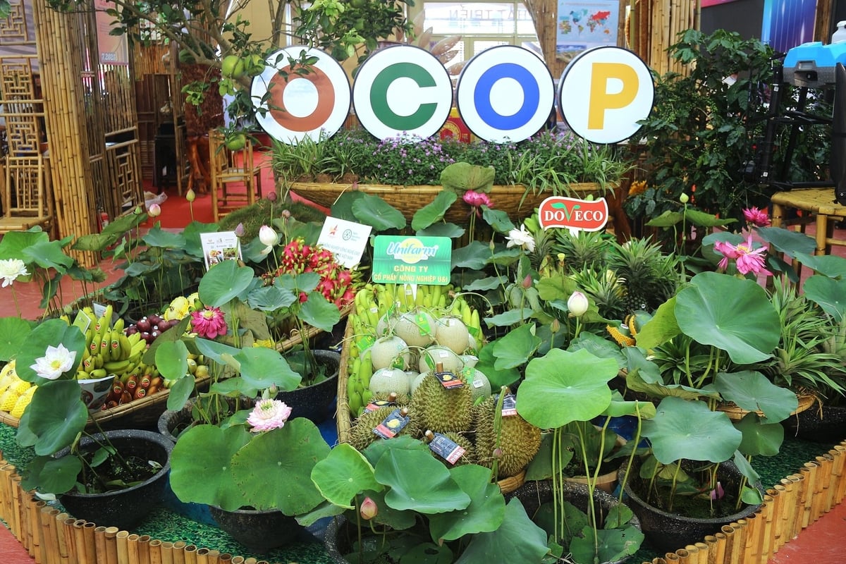 Những sản phẩm trái cây chủ lực. Ảnh: Phạm Hiếu.