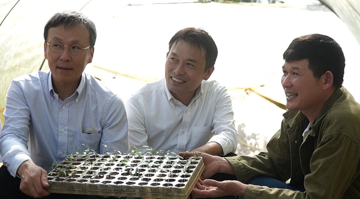 Với ông Kayano Naoki (giữa), khoảng thời gian làm việc ở Mộc Châu vô cùng đáng nhớ bởi sự nhiệt tình và ham học hỏi của nông dân. Ảnh: Đức Bình. Với ông Kayano Naoki (giữa), khoảng thời gian làm việc ở Mộc Châu vô cùng đáng nhớ bởi sự nhiệt tình và ham học hỏi của nông dân. Ảnh: Đức Bình.