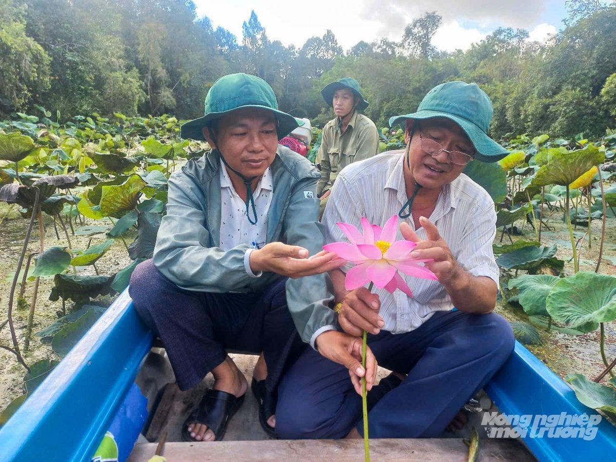 Khu bảo tồn thiên nhiên Lung Ngọc Hoàng thực hiện nghiên cứu khoa học gắn với thực tiễn bảo tồn các loài động vật và thực vật quý hiếm. Ảnh: Văn Vũ. Khu bảo tồn thiên nhiên Lung Ngọc Hoàng thực hiện nghiên cứu khoa học gắn với thực tiễn bảo tồn các loài động vật và thực vật quý hiếm. Ảnh: Văn Vũ.
