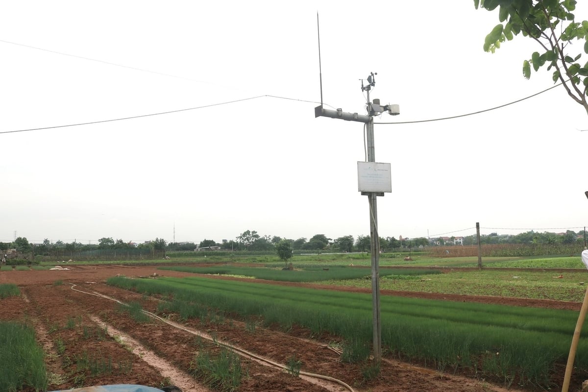 Trạm quan sát thời tiết của HTX Rau quả sạch Chúc Sơn. Ảnh: Khánh Ly. Trạm quan sát thời tiết của HTX Rau quả sạch Chúc Sơn. Ảnh: Khánh Ly.
