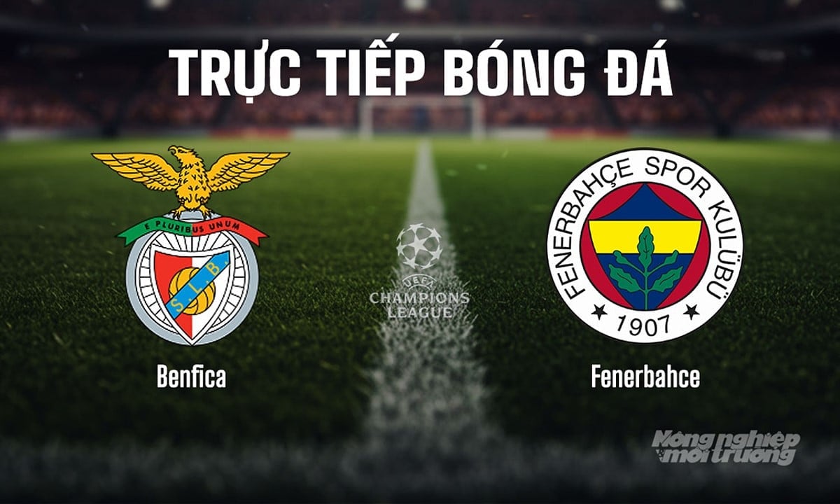 Trực tiếp bóng đá giữa Benfica vs Fenerbahce ngày 28/8/2025 Trực tiếp bóng đá giữa Benfica vs Fenerbahce ngày 28/8/2025