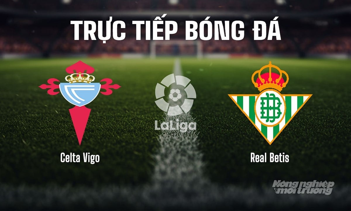 Trực tiếp bóng đá La Liga 2025/26 giữa Celta Vigo vs Real Betis ngày 28/8/2025 Trực tiếp bóng đá La Liga 2025/26 giữa Celta Vigo vs Real Betis ngày 28/8/2025