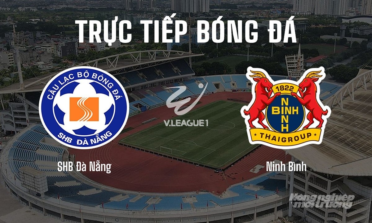 Trực tiếp bóng đá V-League 2025/26 giữa SHB Đà Nẵng vs Ninh Bình hôm nay 27/8/2025 Trực tiếp bóng đá V-League 2025/26 giữa SHB Đà Nẵng vs Ninh Bình hôm nay 27/8/2025