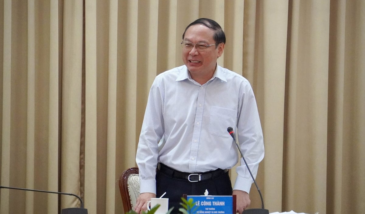 Thứ trưởng Bộ Nông nghiệp và Môi trường Lê Công Thành tại buổi làm việc. Ảnh: Lê Bình. Thứ trưởng Bộ Nông nghiệp và Môi trường Lê Công Thành tại buổi làm việc. Ảnh: Lê Bình.
