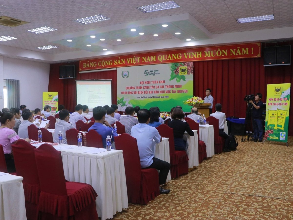 Từ năm 2023, Phân bón Bình Điền đã khởi động ‘Chương trình canh tác cà phê thông minh thích ứng với biến đổi khí hậu’ tại Tây Nguyên nhằm giúp bà con nông dân sản xuất cà phê hiệu quả và bảo vệ môi trường. Ảnh: Văn Bộ. Từ năm 2023, Phân bón Bình Điền đã khởi động ‘Chương trình canh tác cà phê thông minh thích ứng với biến đổi khí hậu’ tại Tây Nguyên nhằm giúp bà con nông dân sản xuất cà phê hiệu quả và bảo vệ môi trường. Ảnh: Văn Bộ.