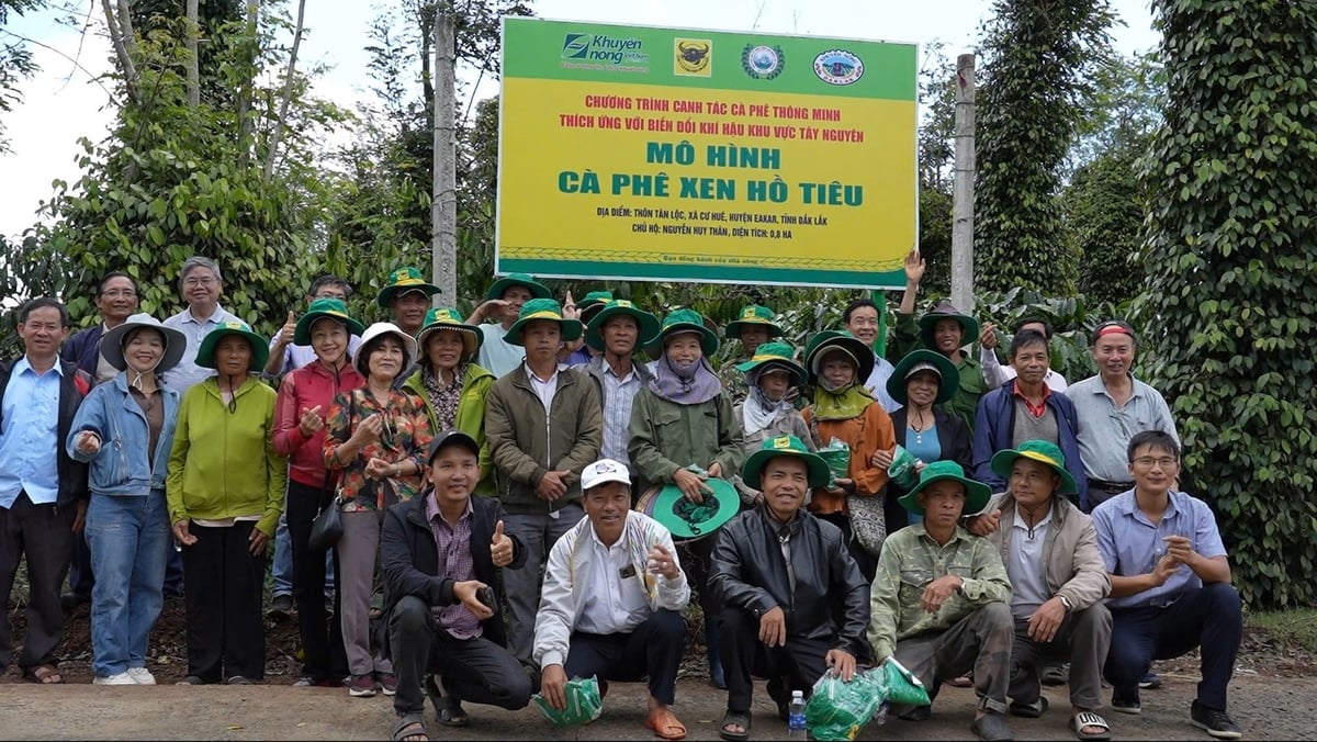 Đông đảo nhà nông tham gia chương trình ‘Canh tác cà phê thông minh thích ứng với biến đổi khí hậu’ do Phân bón Bình Điền phối hợp triển khai. Ảnh: Văn Bộ. Đông đảo nhà nông tham gia chương trình ‘Canh tác cà phê thông minh thích ứng với biến đổi khí hậu’ do Phân bón Bình Điền phối hợp triển khai. Ảnh: Văn Bộ.