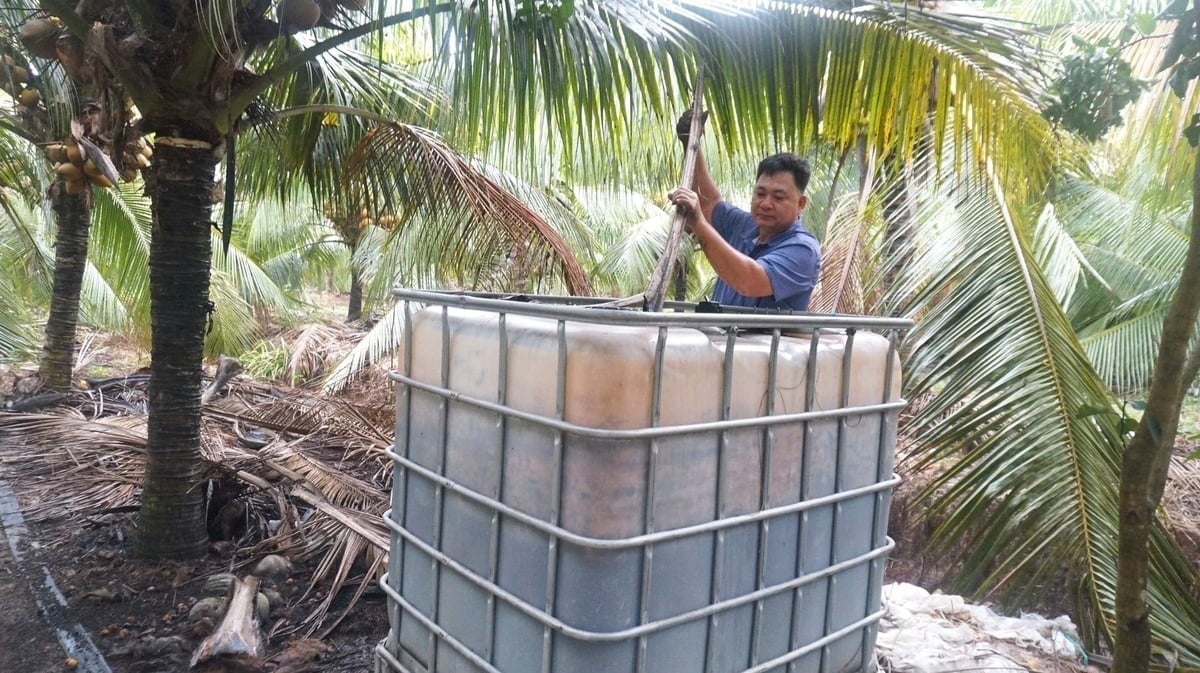 Vietnamese Coconut 78 Agricultural Service Cooperative makes use of locally available by-products to produce high-quality organic fertilizer. Photo: Tran Trung.