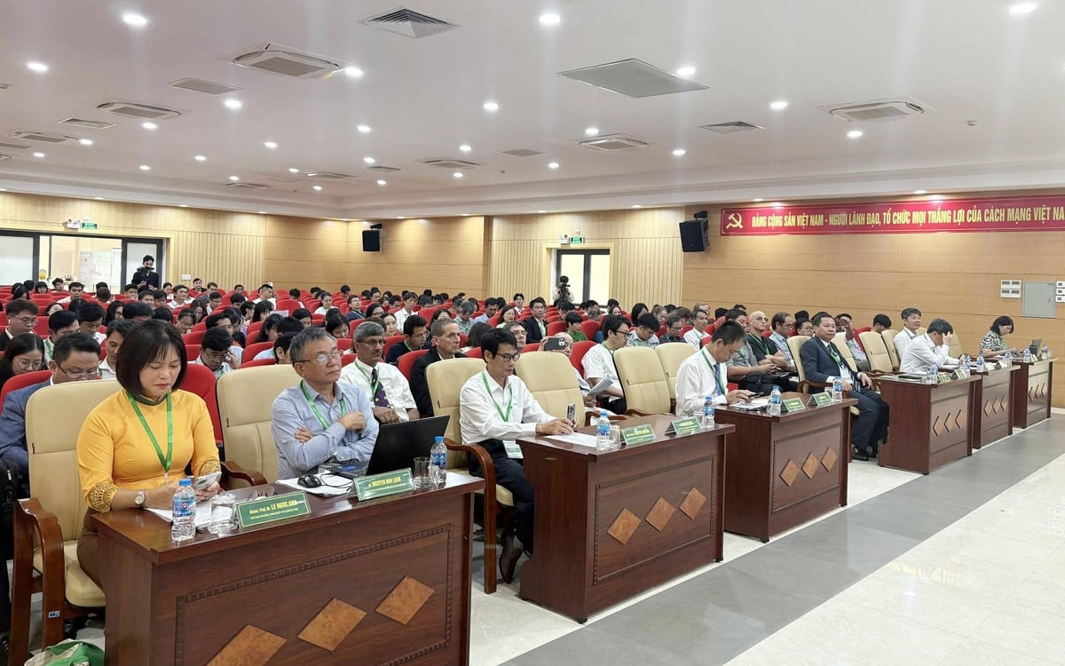 Hội thảo Quốc tế 'Bảo vệ sinh học trong nông nghiệp bền vững lần thứ 2 - ICBPSA' năm 2025 diễn ra tại Đại học Nông lâm (Đại học Huế) với chủ đề 'Ứng dụng bảo vệ sinh học trong nông nghiệp thích ứng với khí hậu'. Ảnh: Văn Dinh. Hội thảo Quốc tế 'Bảo vệ sinh học trong nông nghiệp bền vững lần thứ 2 - ICBPSA' năm 2025 diễn ra tại Đại học Nông lâm (Đại học Huế) với chủ đề 'Ứng dụng bảo vệ sinh học trong nông nghiệp thích ứng với khí hậu'. Ảnh: Văn Dinh.