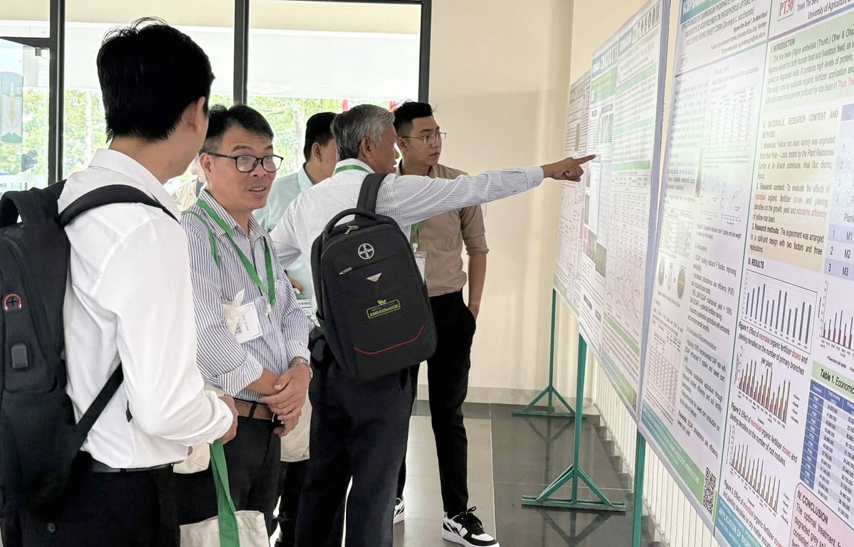 Hội thảo dịp để các nhà nghiên cứu chia sẻ các kết quả nghiên cứu và ứng dụng về phòng trừ sinh học sinh vật hại cây trồng, các thành tựu trong sản xuất nông nghiệp bền vững, thích ứng với biến đổi khí hậu… Ảnh: Văn Dinh. Hội thảo dịp để các nhà nghiên cứu chia sẻ các kết quả nghiên cứu và ứng dụng về phòng trừ sinh học sinh vật hại cây trồng, các thành tựu trong sản xuất nông nghiệp bền vững, thích ứng với biến đổi khí hậu… Ảnh: Văn Dinh.