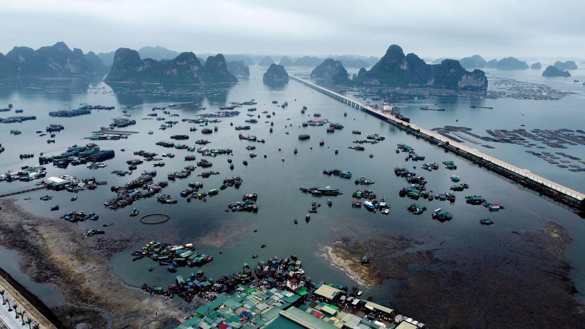 Giai đoạn 1996 đến nay, chứng kiến quá trình đổi mới tư duy toàn diện để quản lý nghề cá bền vững, hiện đại, hội nhập quốc tế. Ảnh: HT. Giai đoạn 1996 đến nay, chứng kiến quá trình đổi mới tư duy toàn diện để quản lý nghề cá bền vững, hiện đại, hội nhập quốc tế. Ảnh: HT.