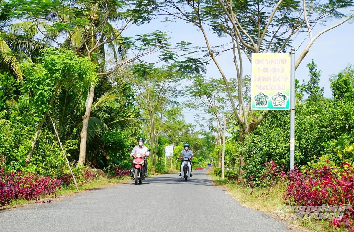 Tuyến đường nông thôn tại xã Tháp Mười được trồng cây xanh, khang trang, tạo diện mạo mới và môi trường sống xanh – sạch – đẹp. Ảnh: Lê Hoàng Vũ. Tuyến đường nông thôn tại xã Tháp Mười được trồng cây xanh, khang trang, tạo diện mạo mới và môi trường sống xanh – sạch – đẹp. Ảnh: Lê Hoàng Vũ.