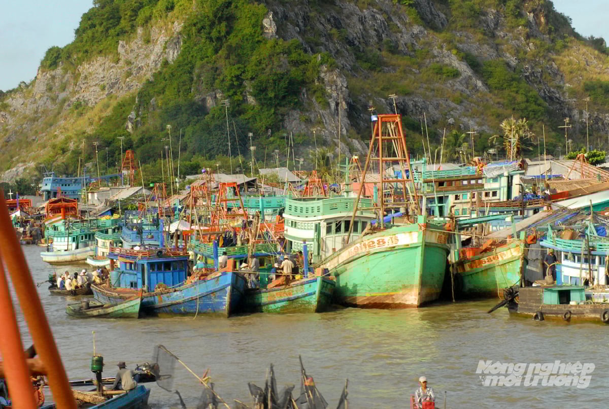 Tàu cá neo đậu tập trung tại cảng, chấp hành quy định quản lý và giám sát hành trình, góp phần ngăn chặn vi phạm khai thác IUU. Ảnh: Lê Hoàng Vũ. Tàu cá neo đậu tập trung tại cảng, chấp hành quy định quản lý và giám sát hành trình, góp phần ngăn chặn vi phạm khai thác IUU. Ảnh: Lê Hoàng Vũ.