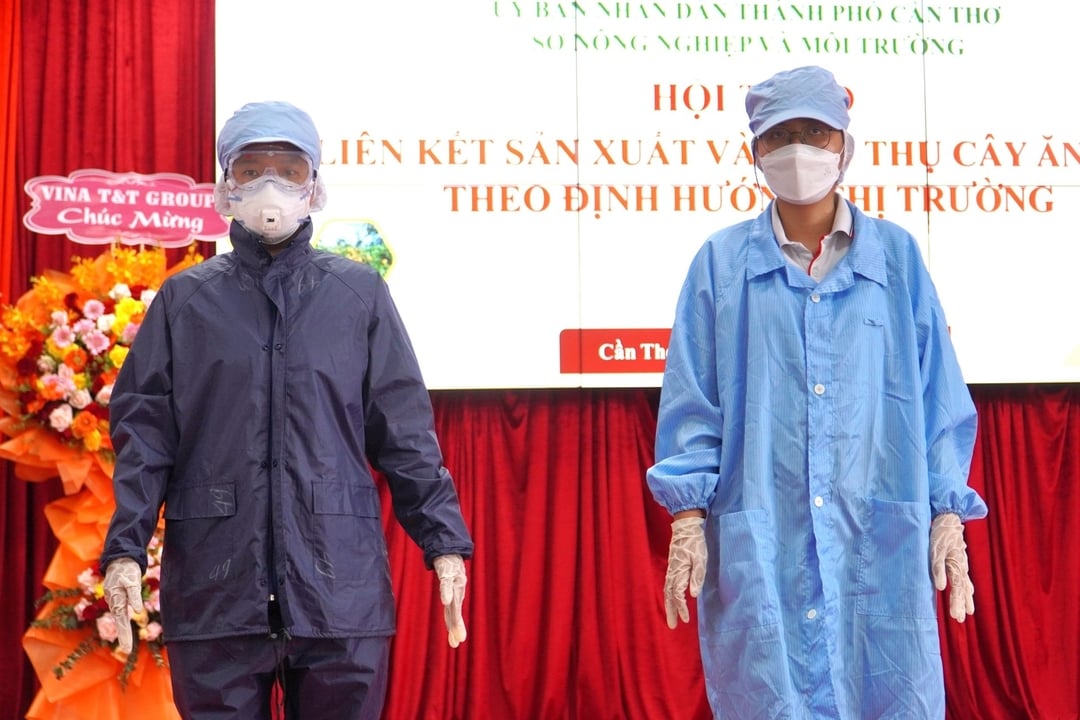 Nông dân tham gia thu hoạch phải trang bị đồ dùng bảo hộ lao động gồm nón, kính, khẩu trang, quần áo bảo hộ, găng tay, ủng… đảm bảo tránh tác động từ bên ngoài. Nhân viên đóng gói cũng phải trang bị bảo hộ gồm nón, khẩu trang, áo, găng tay, ủng… Nông dân tham gia thu hoạch phải trang bị đồ dùng bảo hộ lao động gồm nón, kính, khẩu trang, quần áo bảo hộ, găng tay, ủng… đảm bảo tránh tác động từ bên ngoài. Nhân viên đóng gói cũng phải trang bị bảo hộ gồm nón, khẩu trang, áo, găng tay, ủng…