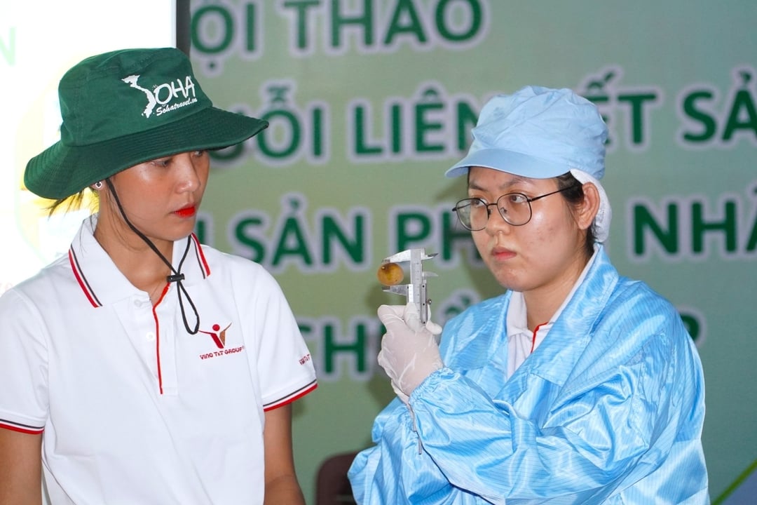 Thước kẹp là thiết bị chuyên dùng để đo kích thước trái thanh nhãn trước khi đóng gói, đảm bảo đường kính mỗi trái trên 28 mm, đủ tiêu chuẩn xuất khẩu. Thước kẹp là thiết bị chuyên dùng để đo kích thước trái thanh nhãn trước khi đóng gói, đảm bảo đường kính mỗi trái trên 28 mm, đủ tiêu chuẩn xuất khẩu.