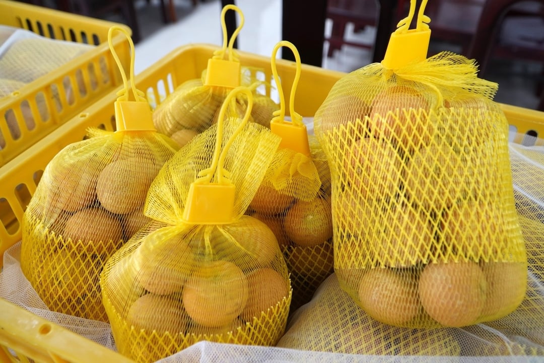 Ở công đoạn đóng gói, thanh nhãn được đóng vào túi lưới 500 gram, 1 kg hoặc 5 kg. Các túi lưới màu vàng do cơ quan kiểm dịch quy định. Ở công đoạn đóng gói, thanh nhãn được đóng vào túi lưới 500 gram, 1 kg hoặc 5 kg. Các túi lưới màu vàng do cơ quan kiểm dịch quy định.