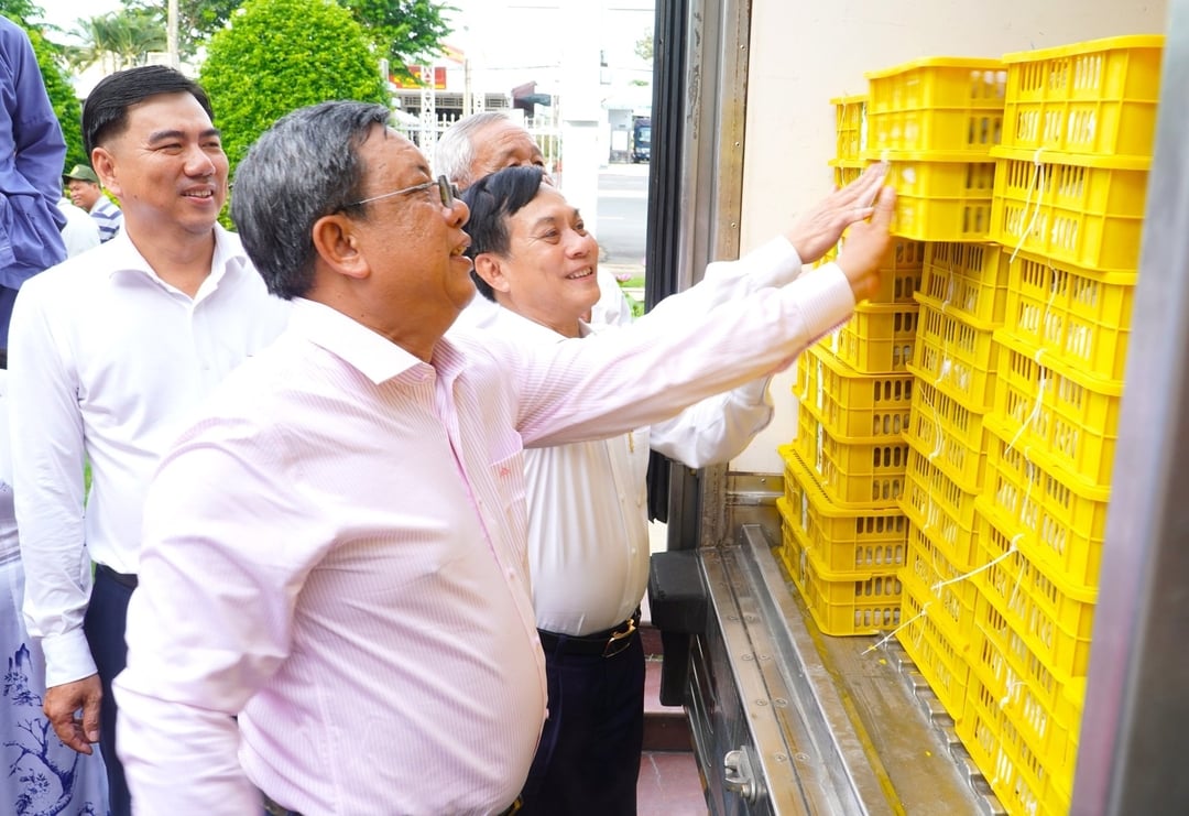 Sau khi đóng gói, sản phẩm được đưa đến trung tâm chiếu xạ để kiểm dịch và dán tem lên từng rổ trước khi tiến hành các thủ tục để xuất khẩu. Tem này sẽ là cơ sở để đơn vị chức năng nước nhập khẩu kiểm tra hạn sử dụng của mã vùng trồng và mã số cơ sở đóng gói. Sau khi đóng gói, sản phẩm được đưa đến trung tâm chiếu xạ để kiểm dịch và dán tem lên từng rổ trước khi tiến hành các thủ tục để xuất khẩu. Tem này sẽ là cơ sở để đơn vị chức năng nước nhập khẩu kiểm tra hạn sử dụng của mã vùng trồng và mã số cơ sở đóng gói.