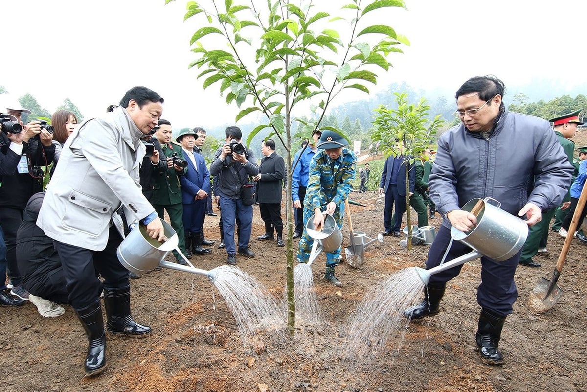 Tết trồng cây đầu năm được các thế hệ lãnh đạo Đảng, Nhà nước gìn giữ, xuyên suốt các năm qua. Ảnh: VGP.