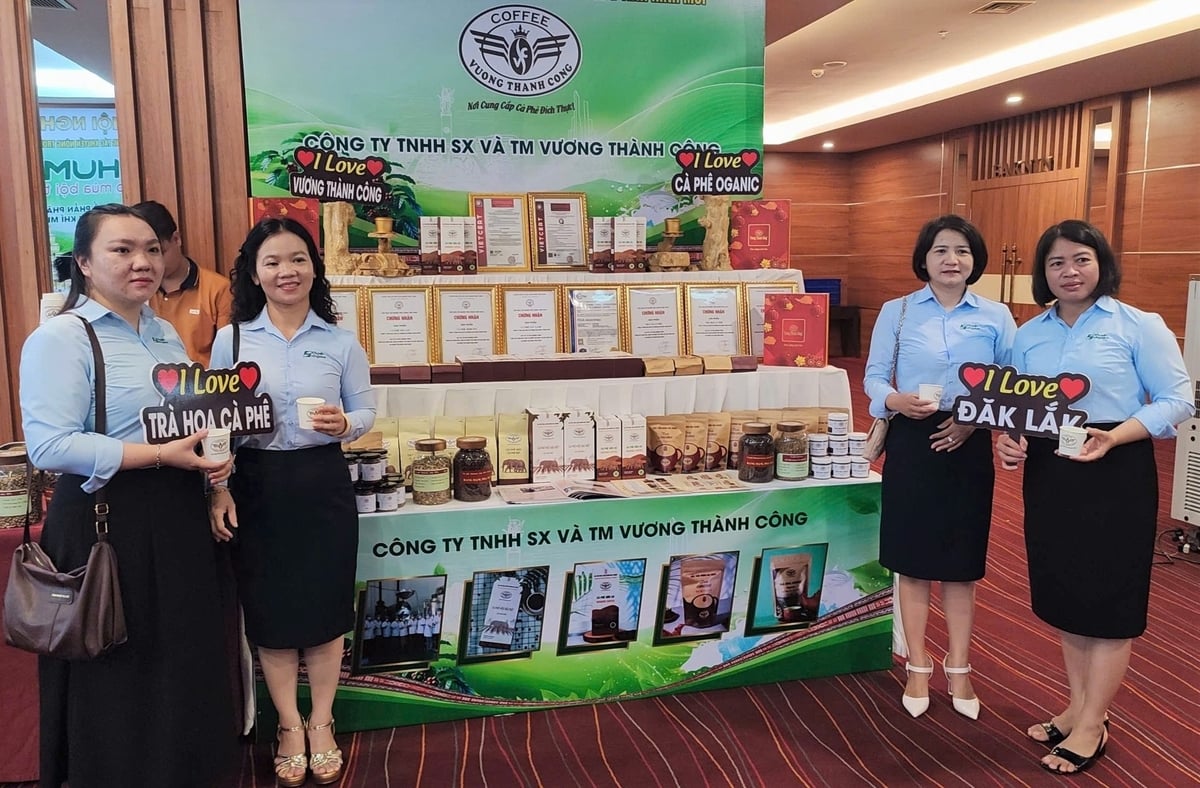 Nhiều gian hàng được trưng bày tại tọa đàm. Ảnh: Trần Thọ. Nhiều gian hàng được trưng bày tại tọa đàm. Ảnh: Trần Thọ.