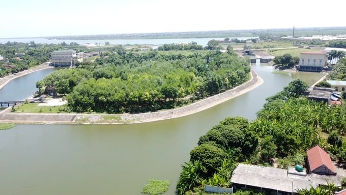 Sắc xanh bạt ngàn trên công trình thủy lợi Bắc Nam Hà. Ảnh: Quang Dũng. Sắc xanh bạt ngàn trên công trình thủy lợi Bắc Nam Hà. Ảnh: Quang Dũng.