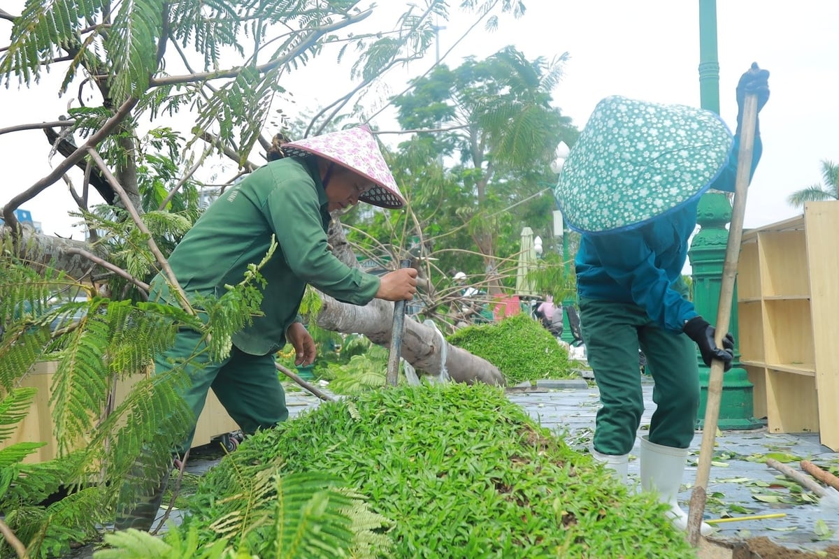 Công nhân Công ty CP Môi trường và Công trình đô thị Nghệ An khắc phục cây đổ. Ảnh: Ngọc Linh. Công nhân Công ty CP Môi trường và Công trình đô thị Nghệ An khắc phục cây đổ. Ảnh: Ngọc Linh.