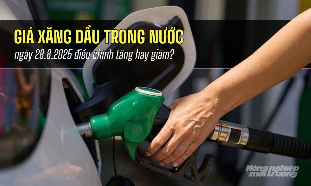 Cập nhật giá xăng dầu hôm nay 28/8/2025 ở trong nước sau phiên điều chỉnh Cập nhật giá xăng dầu hôm nay 28/8/2025 ở trong nước sau phiên điều chỉnh