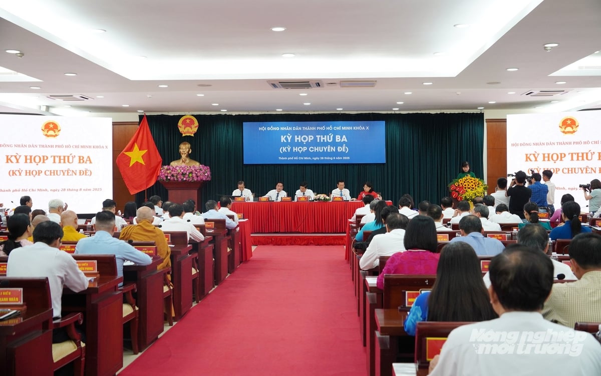 Kỳ họp thứ ba (kỳ họp chuyên đề) HĐND TP.HCM Khóa X xem xét nhiều nội dung quan trọng. Ảnh: Nguyễn Thủy. Kỳ họp thứ ba (kỳ họp chuyên đề) HĐND TP.HCM Khóa X xem xét nhiều nội dung quan trọng. Ảnh: Nguyễn Thủy.