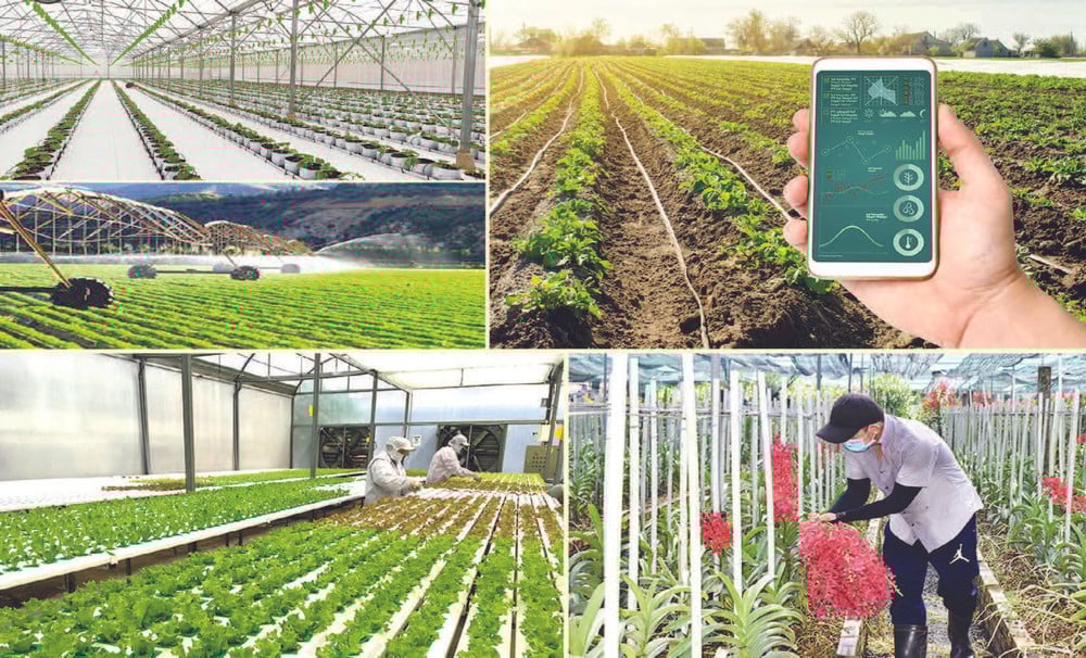 Ban Chỉ đạo có nhiệm vụ giúp Bộ trưởng chỉ đạo, điều hành đồng bộ các hoạt động về khoa học, công nghệ, đổi mới sáng tạo, chuyển đổi số, triển khai Đề án 06 cũng như thực hiện cải cách hành chính của Bộ. Ảnh: Minh họa. Ban Chỉ đạo có nhiệm vụ giúp Bộ trưởng chỉ đạo, điều hành đồng bộ các hoạt động về khoa học, công nghệ, đổi mới sáng tạo, chuyển đổi số, triển khai Đề án 06 cũng như thực hiện cải cách hành chính của Bộ. Ảnh: Minh họa.