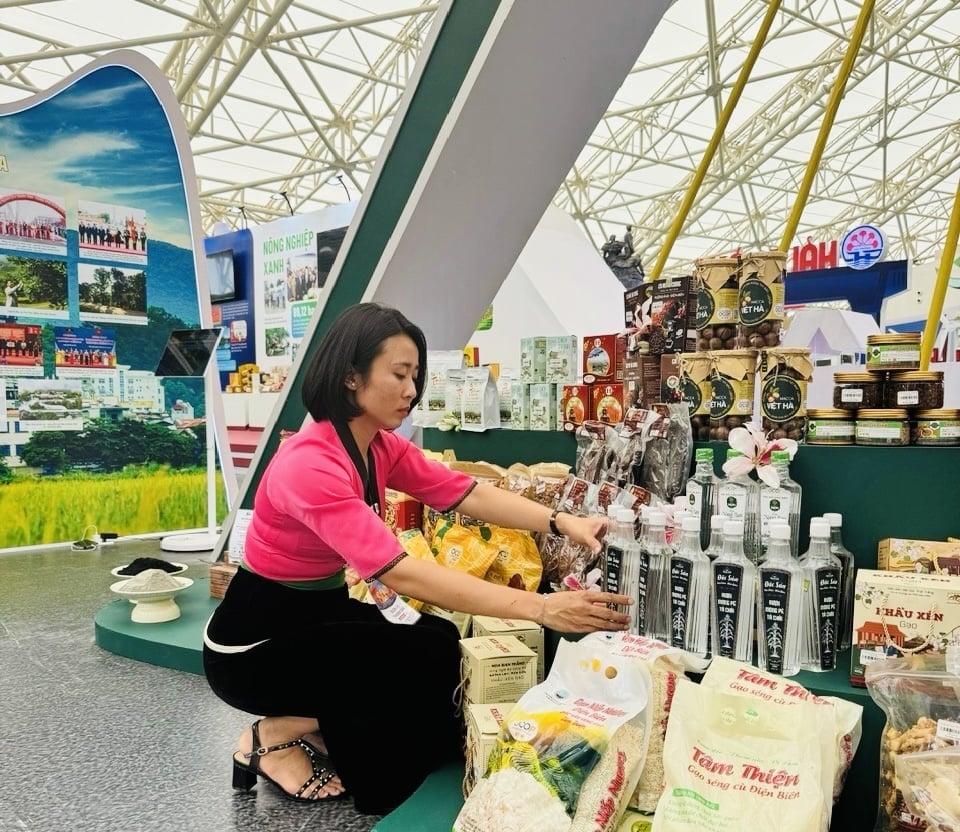 Các sản phẩm OCOP, nông nghiệp của tỉnh Điện Biên được trưng bày tại Triển lãm. Ảnh: Hoàng Châu. Các sản phẩm OCOP, nông nghiệp của tỉnh Điện Biên được trưng bày tại Triển lãm. Ảnh: Hoàng Châu.