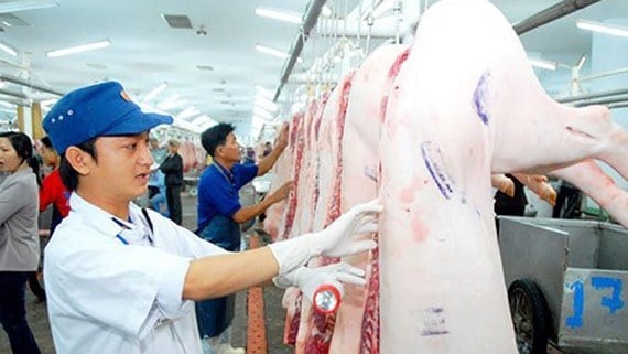 Kiểm tra Giấy chứng nhận kiểm dịch xuất khẩu là nội dung bắt buộc mà cơ quan kiểm dịch động vật cửa khẩu phải thực hiện tại cửa khẩu xuất. Ảnh minh họa. Kiểm tra Giấy chứng nhận kiểm dịch xuất khẩu là nội dung bắt buộc mà cơ quan kiểm dịch động vật cửa khẩu phải thực hiện tại cửa khẩu xuất. Ảnh minh họa.